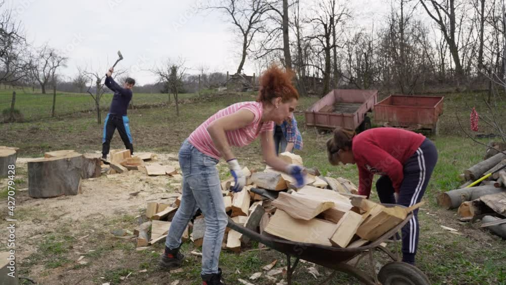 Family splitting wood for firewood Family splitting wood for firewood
