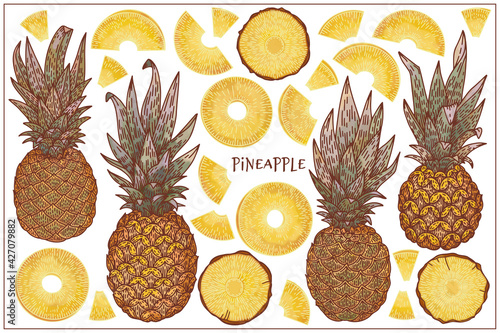 Hand drawn color sketch of pineapple set, slices, line art, vector illustration isolated on white background. Tropical Exotic fruits. Detailed food drawing for print, menu, market, label, poster.