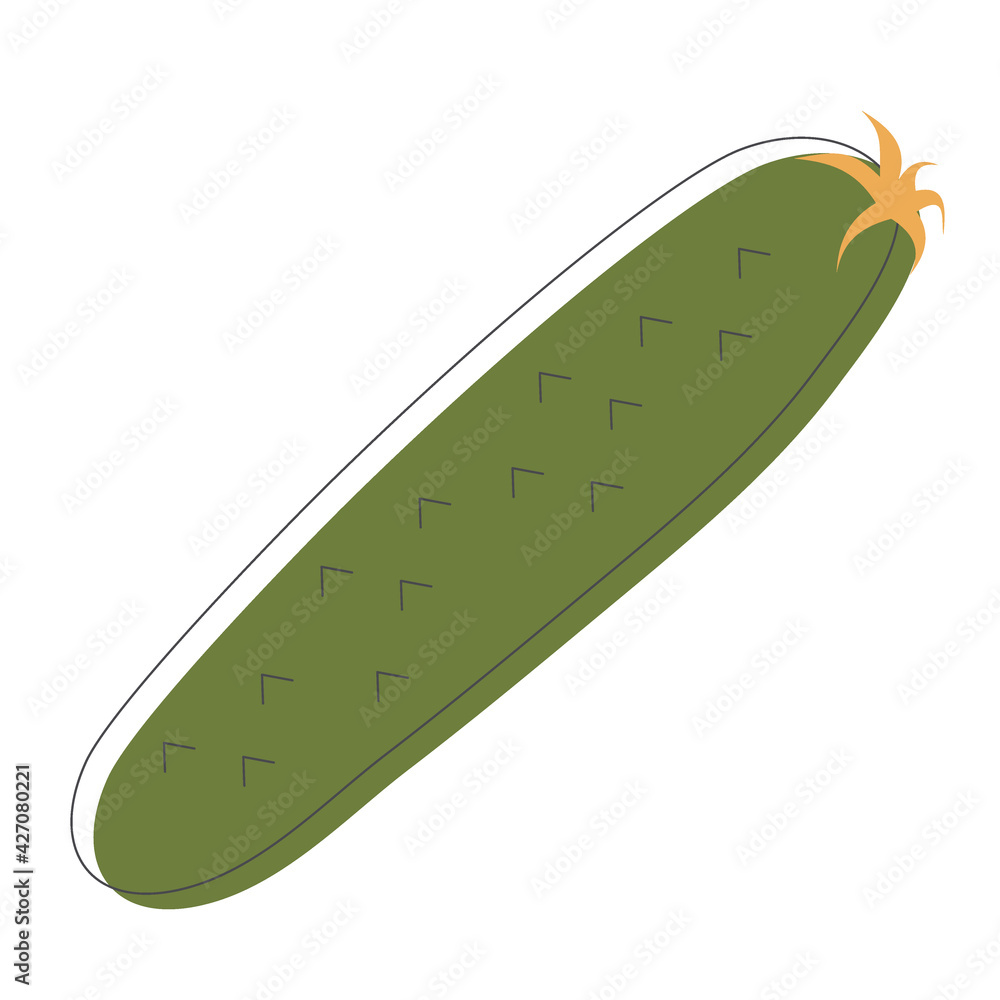 Fresh green cucumber, healthy vegetable. Vegetarian organic natural food. Fashionable modern flat colorful collection. Vector illustration in a flat linear style. Healthy food Fresh green cucumber, healthy vegetable. Vegetarian organic natural food. Fashionable modern flat colorful collection. Vector illustration in a flat linear style. Healthy food