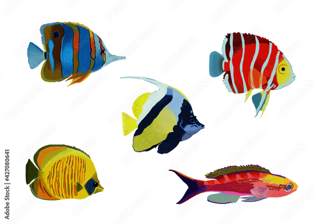 Naklejka premium Set of fish isolated on white background. Vector. Underwater life. Watercolor. Sea animals.