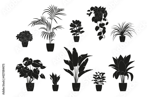 Collection silhouettes of houseplants in black color. Potted plants isolated on white. set green tropical plants. trendy home decor with indoor plants, planters, tropical leaves.