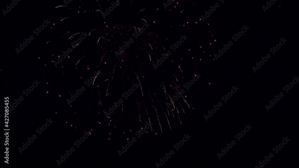 Labor Day Fireworks Show on a Black Background Labor Day Fireworks Show on a Black Background