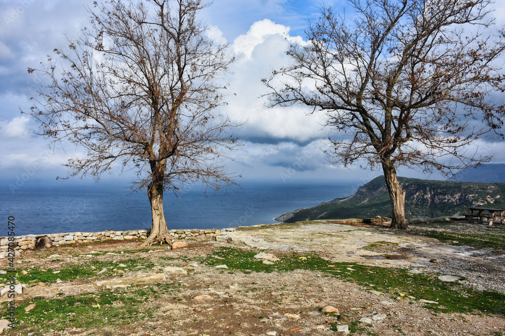 trees, cliff, sky and mountains in the valley on the island on a winter day trees, cliff, sky and mountains in the valley on the island on a winter day