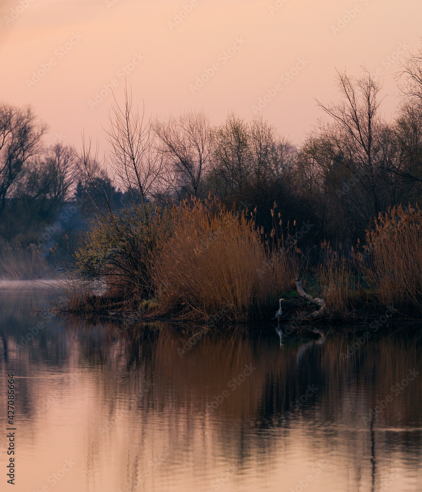 Fototapeta premium poranny wschód z odbiciem ptaka w wodzie i mgłą w oddali
