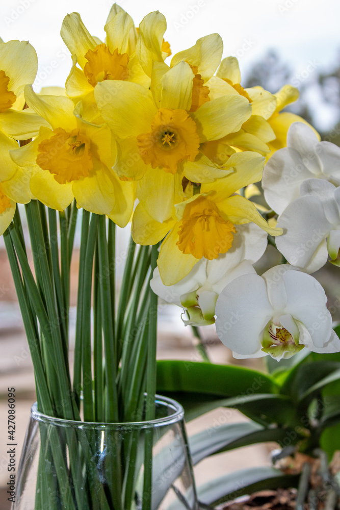 Flower bouquet - daffodils and orchids Flower bouquet - daffodils and orchids