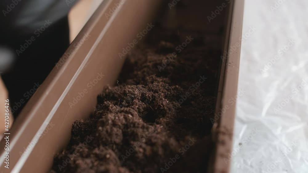 Woman hands preparing ground or soil for planting plants in the pot. Woman hands preparing ground or soil for planting plants in the pot.