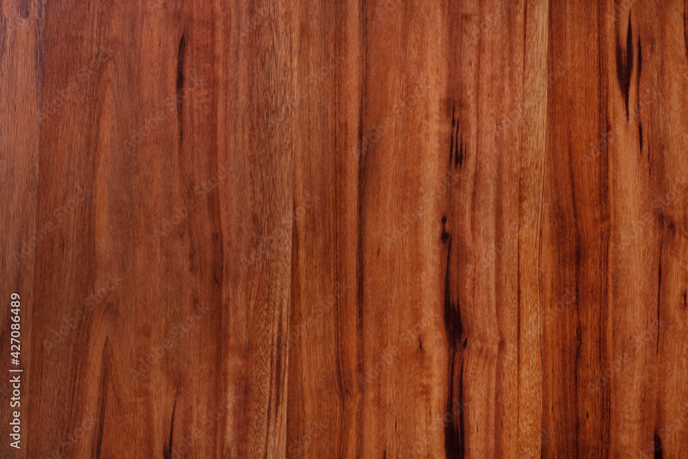 Background, tree, brown, top view Background, tree, brown, top view