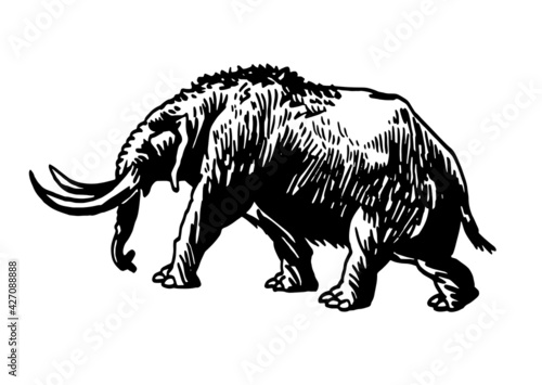 Graphical illustration of woolly mammoth isolated on white background,ancient animal