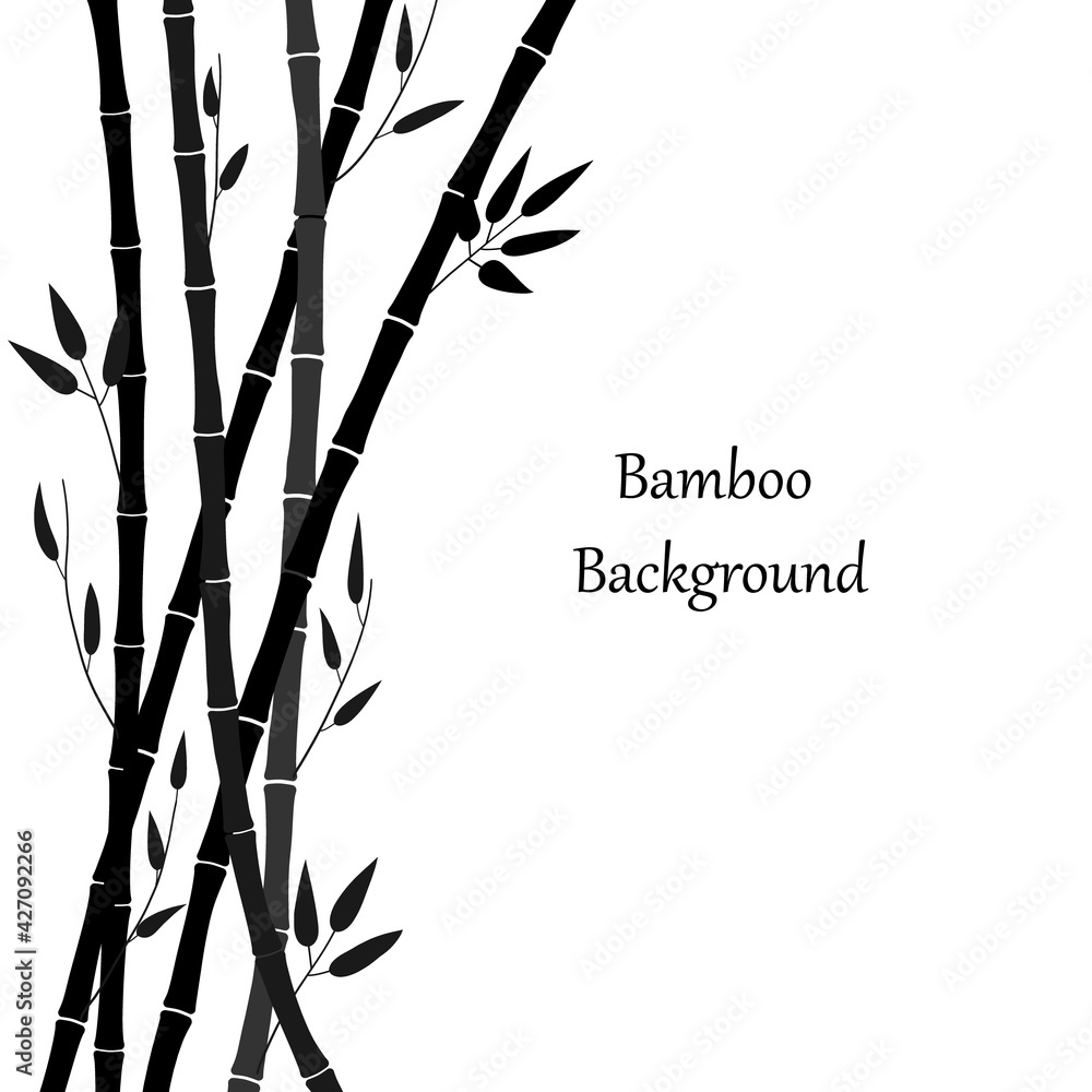 Black silhouette of bamboo on a white background. Minimalistic design. Bamboo plant and place for text. Bamboo leaves and stems, branches, black isolated pattern. Vector illustration - obrazy, fototapety, plakaty 