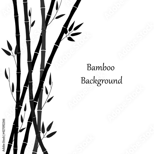 Black silhouette of bamboo on a white background. Minimalistic design. Bamboo plant and place for text. Bamboo leaves and stems, branches, black isolated pattern. Vector illustration © Lyudmyla