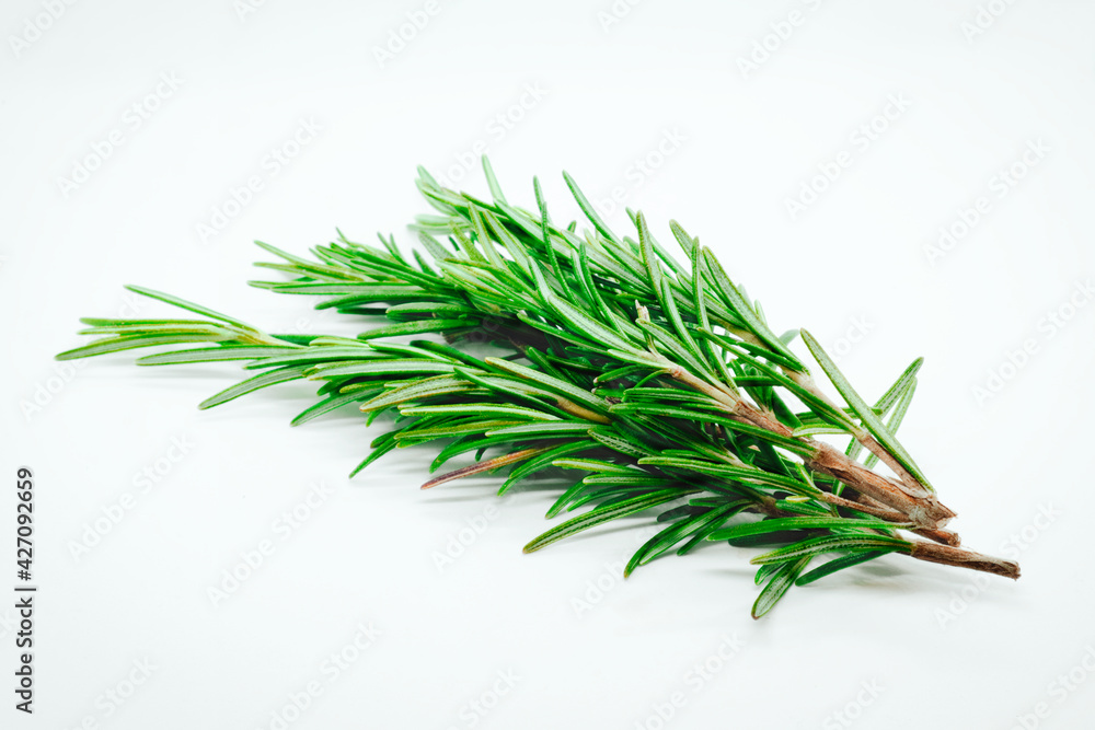 Fototapeta premium Fresh rosemary bunch isolated on white background