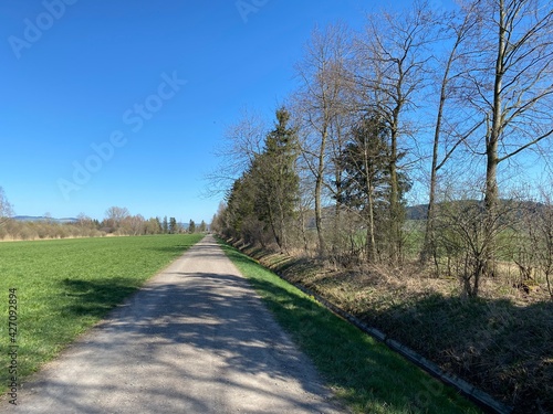 Recreational trails and promenades along the natural protection area Wauwilermoos (Naturschutzgebiet Wauwilermoos), Wauwil - Canton of Lucerne, Switzerland (Schweiz) photo