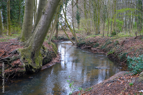 Lutter bei Isselhorst im Fr  hjahr  Ems-Lutter  Fluss  Kreis G  tersloh  Ostwestfalen-Lippe