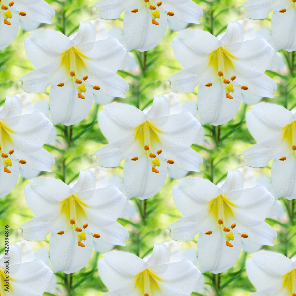 Obraz premium Seamless unfocused floral background with beautiful white lilies. Square framing, art design
