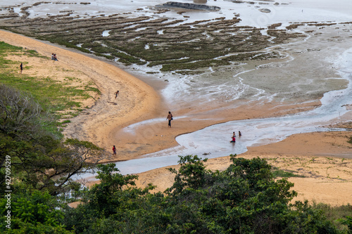 Plage de Guyane à l'heure de la marée basse