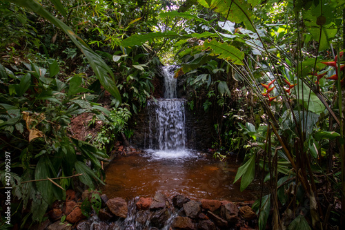 Cascade sur le sentier du Rorota en Guyane