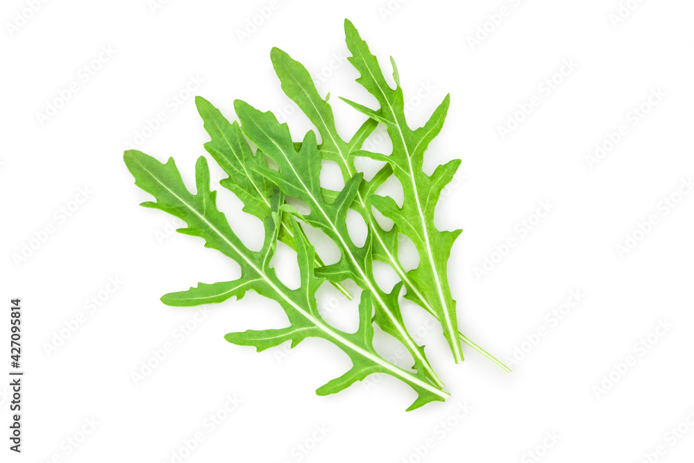 Fototapeta premium Ruccola
