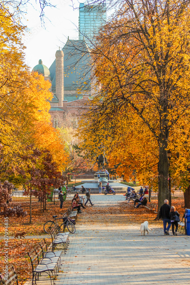 Queen's Park at Ontario Provincial Legislature in Autumn, urban city park with big old growth trees in autumn with colourful golden yellow fall foliage