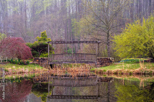 Photography Wooden Bridge over Water