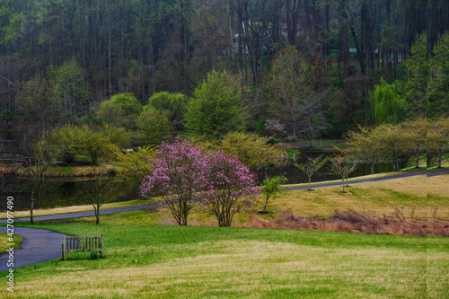 Photography Spring Comes to Meadowlark Botanical Gardens