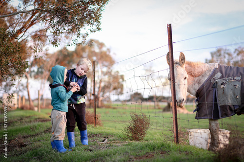 Children holding camera taking photos of donkey through fence on country property