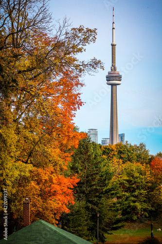 Urban city park in autumn with colourful leaves with city skyline in background
