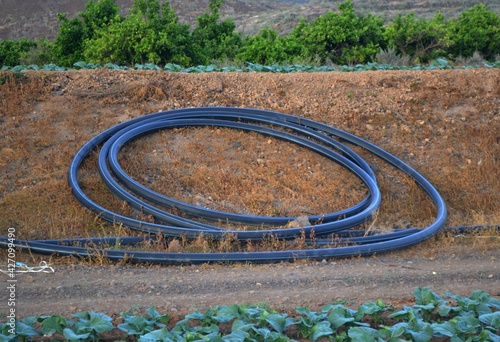 a hose prepared for agriculture in the south of Tenerife
