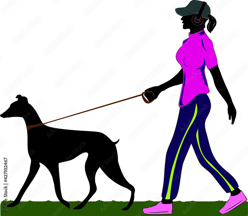 women walking with a gray hound dog - illustrated character women walking with a gray hound dog - illustrated character
