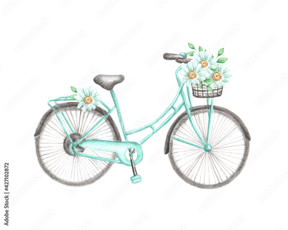 Watercolor illustration in provence style. Bicycle with a basket. Chamomile flowers. Illustration is isolated. In turquoise, gray and yellow colors. For printing on postcards, stickers, notebooks
