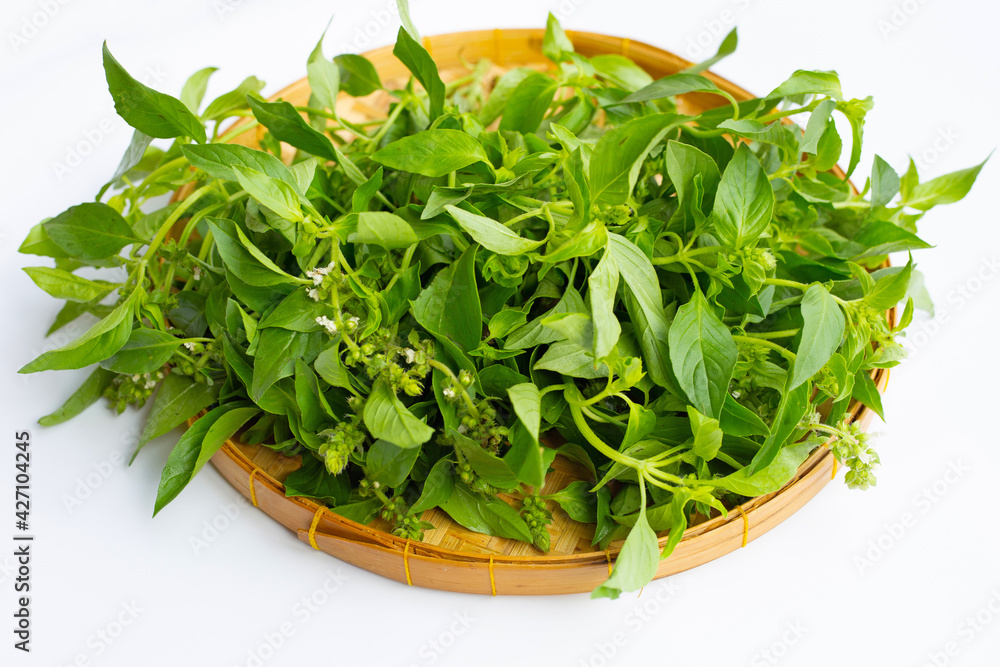 Hairy Basil in bamboo basket on white background. Hairy Basil in bamboo basket on white background.
