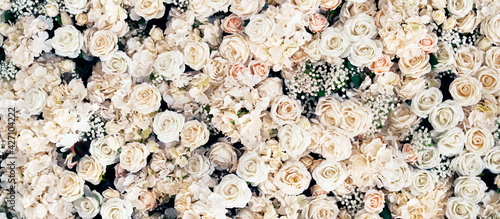 Fototapeta Naklejka Na Ścianę i Meble -  Banner of flowers beautiful and fragrant. A large bouquet of white roses. Copy space.