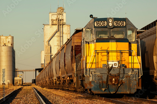 Canvas-taulu Freight train hauling grain from grain elevators;  Venango, Nebraska