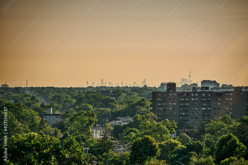 Toronto skyline with CN Tower appears on the distant horizon looking out over an urban forest in early morning