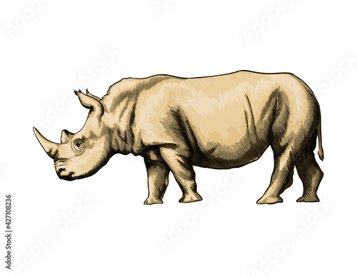 Rhinoceros from a splash of watercolor, colored drawing, realistic. Vector illustration of paints