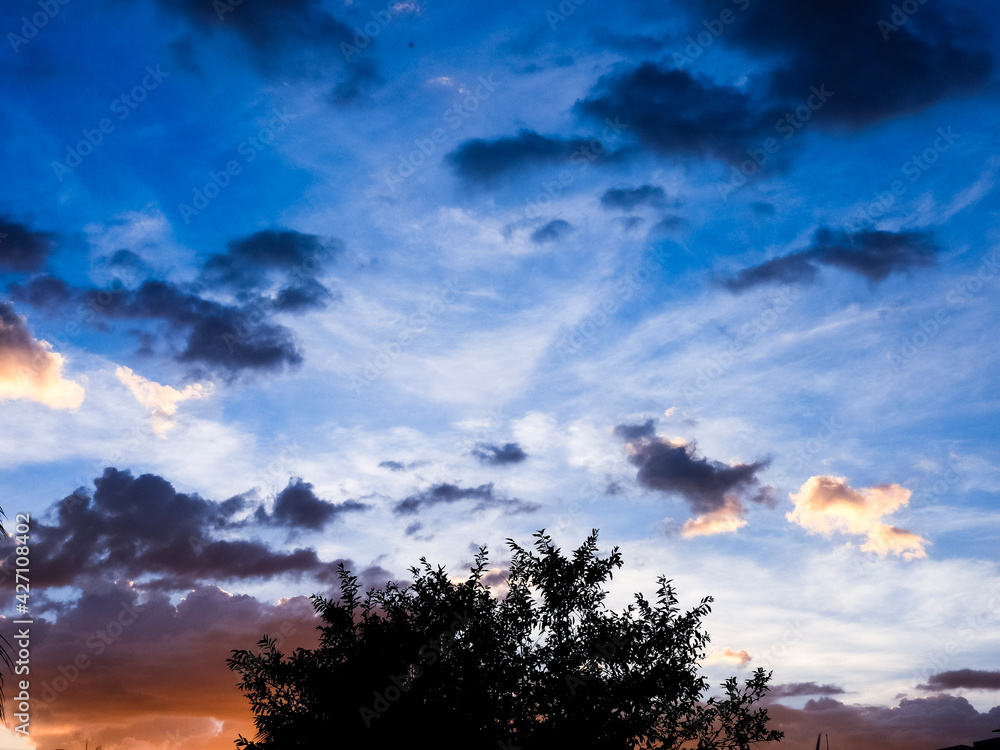 Fototapeta premium sunset in the sky