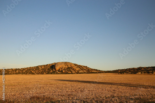 Vibrant sunset landscape image of Mount Hope surrounded by wheat fields with kangaroos visible