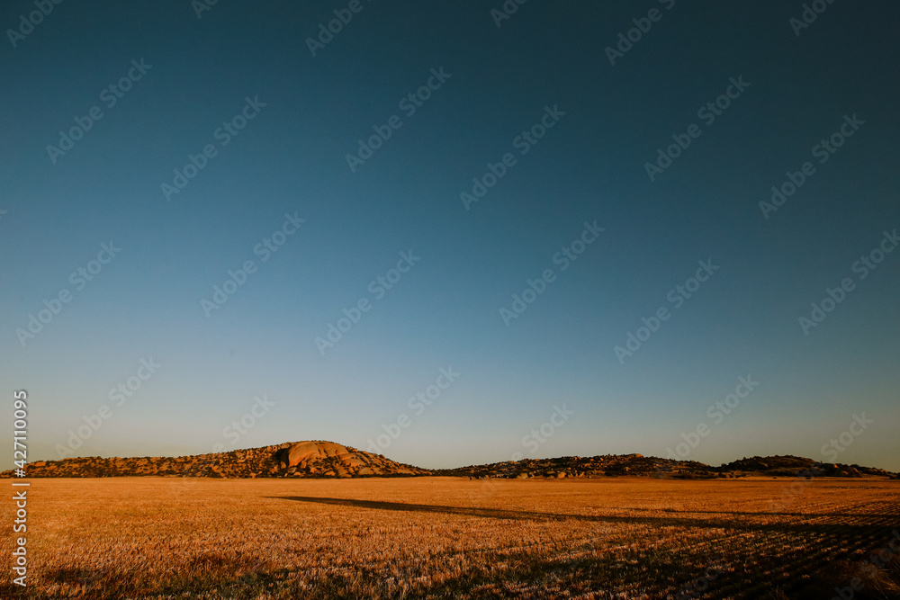 Vibrant sunset landscape image of Mount Hope surrounded by wheat fields with kangaroos visible