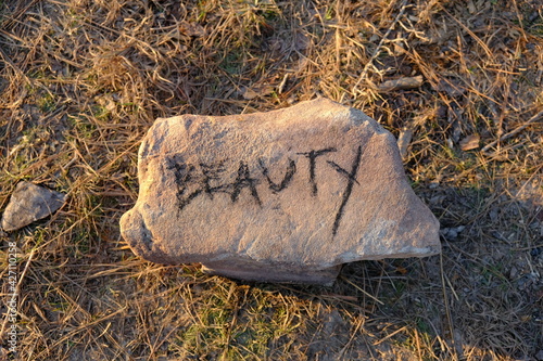 Beauty Written on Rock in Kisatchie National Forest photo