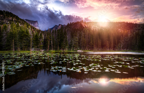 A lake full of lily-pads in a forest of the Rocky Mountains of Colorado during sunset in the summer.