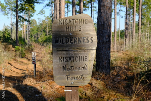 Kisatchie National Forest Louisiana