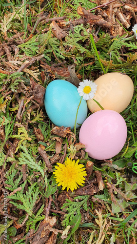 Ostern Ostereier draußen