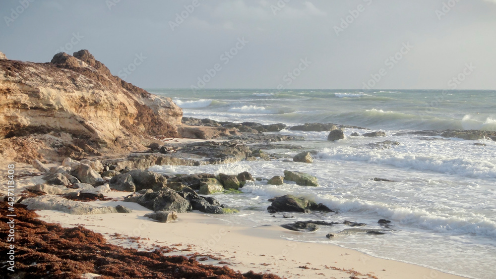 Rocky Beach Coastline with Wild Ocean Waves
