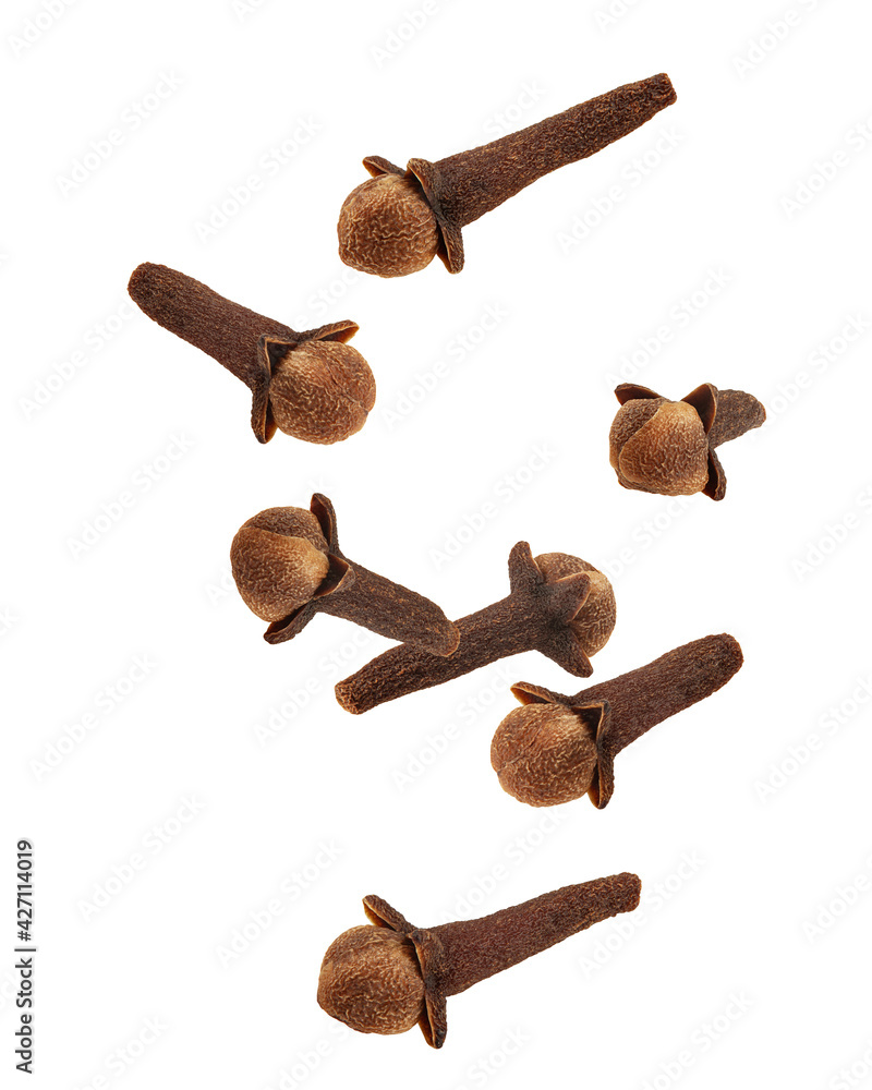 Falling Clove spice isolated on black background, clipping path, full depth of field