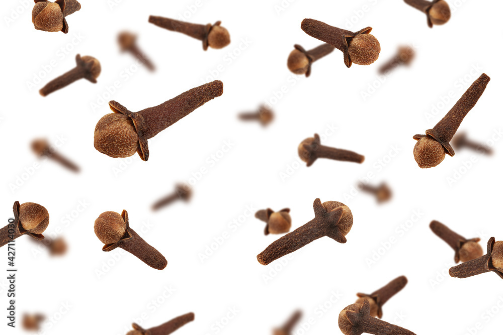 Falling Clove spice isolated on black background, selective focus Falling Clove spice isolated on black background, selective focus