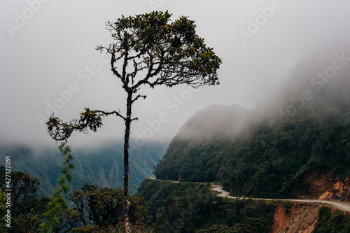 The Death Road is one of the most dangerous roads in the world