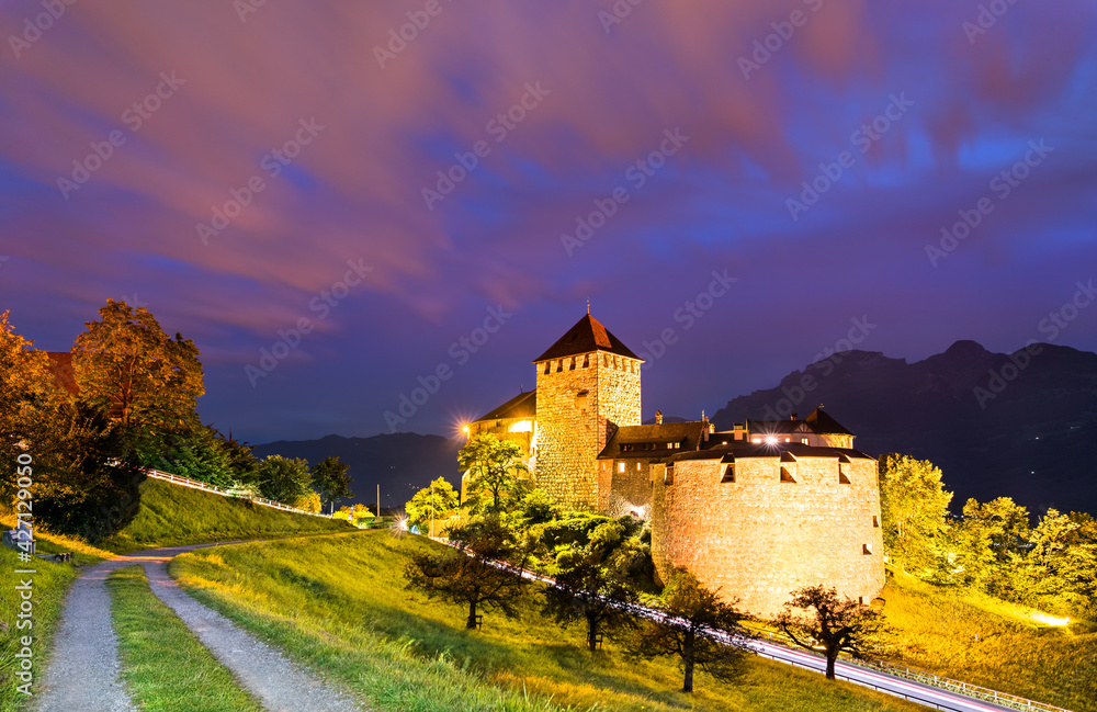 Vaduz Castle in Liechtenstein at night