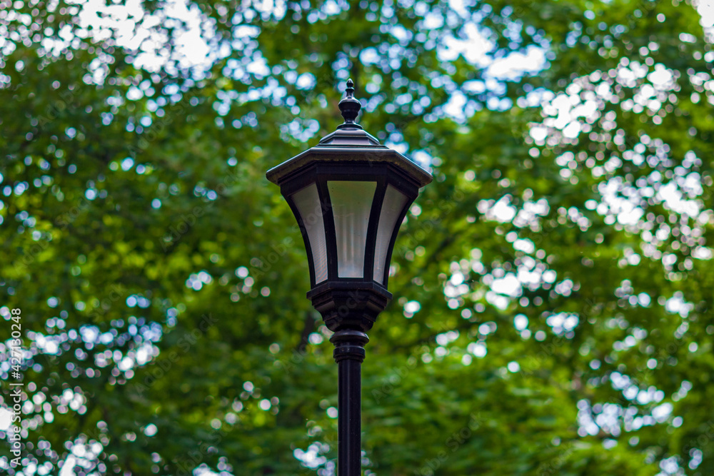 Streetlight in city park against green trees, modern energy-efficient lamp in retro style