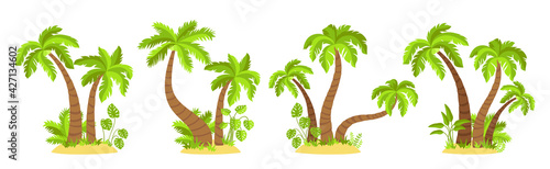 Tropical islands with palm trees flat cartoon set. Exotic herbs and plants, monstera, coconut palm trees nature design element. Hand drawn tree mature and young plants forest. Vector illustration
