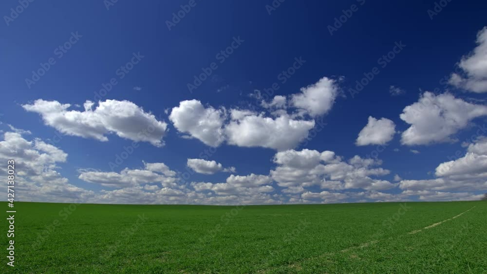 Green grassland and white clouds, time-lapse Green grassland and white clouds, time-lapse