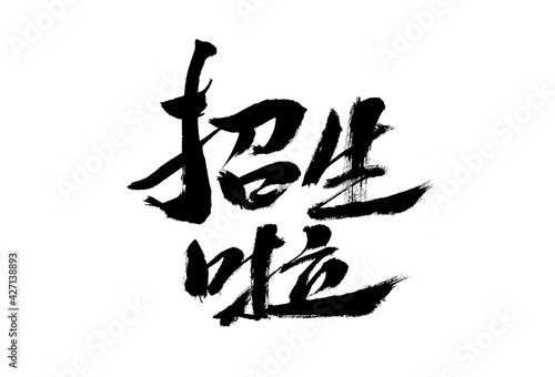 Chinese character  Enrollment  calligraphy handwriting